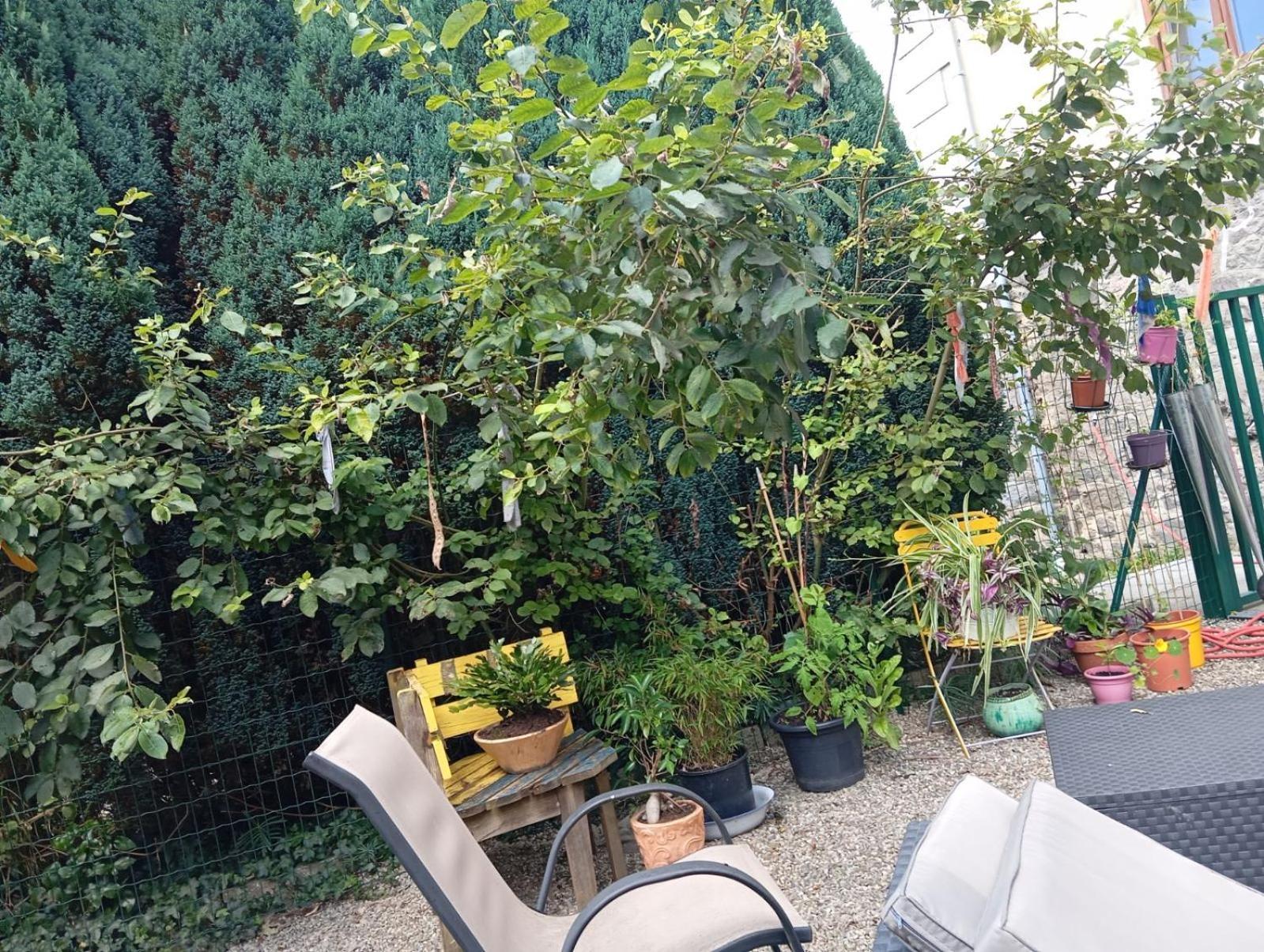 Au Pied Du Gazon Apartman Saint-Maurice-sur-Moselle Kültér fotó
